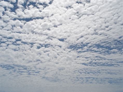 Puffy Clouds Free Photo Download Freeimages