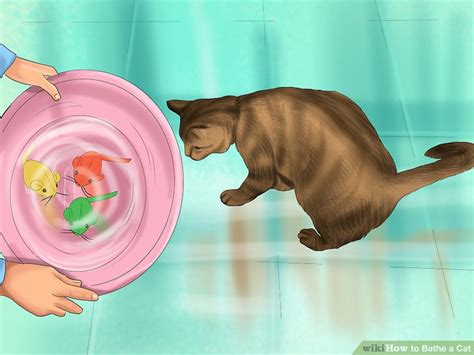 A similar question to this one has been asked before on this site so you can find more information about this here: How to Bathe a Cat (with Pictures) - wikiHow