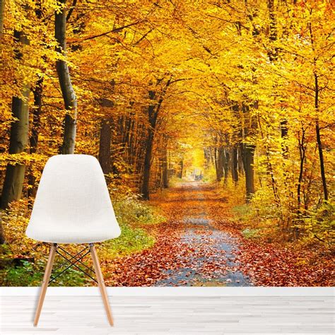 Autumn Yellow Trees Wall Mural Forest Path Photo Wallpaper Living Room