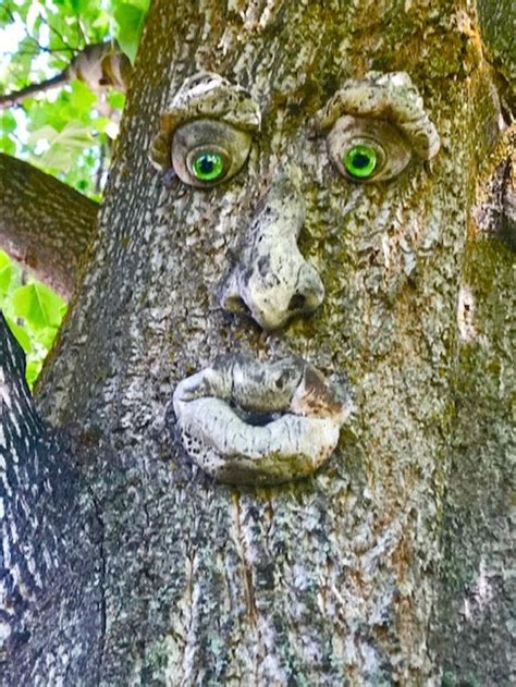 Forrest Stump Concrete Tree Face Grey Fun T Etsy In 2021 Tree