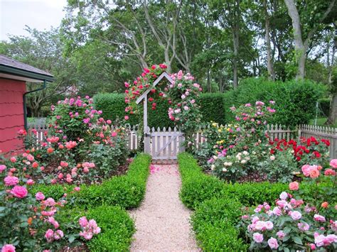 Country Gardens With Roses And Fencing Rose Garden