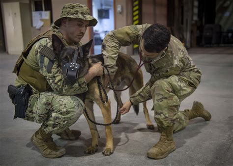 Dvids Images 564 Completes K9 Tactical Combat Casualty Care Course