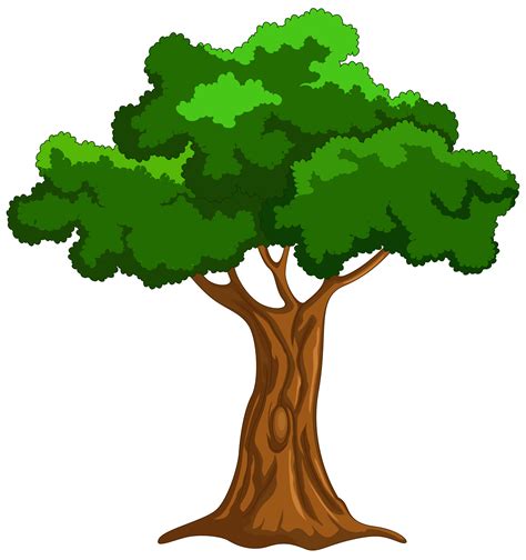 Oak Tree Clip Art Png