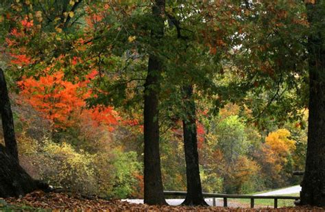 Oklahoma Boasts Spectacular Views Of Fall Foliage Autumn Drives Fall
