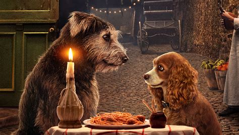 Watch an Exclusive 'Lady & The Tramp' Clip Right Here! | Disney Plus, Exclusive, Lady and the 