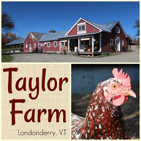 Taylor Farm Londonderry Vt A Nation Of Moms