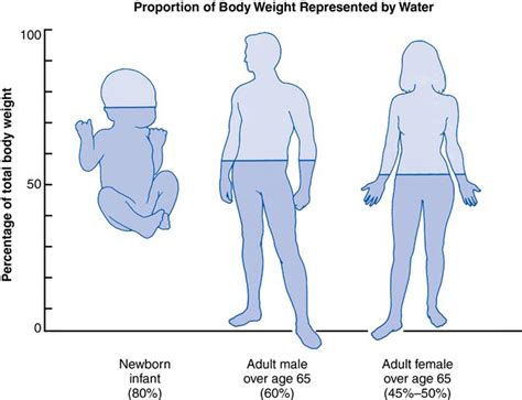 5 Theories Of Aging And Physical Changes Nurse Key