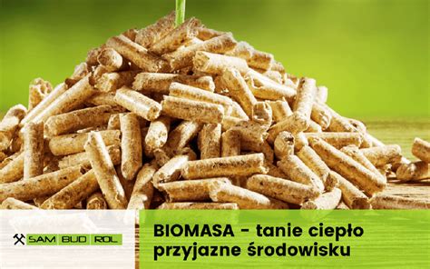 Czym jest biomasa? - Blog SAM-BUD-ROL