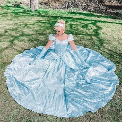 Cinderella Dress Adult Costume Telegraph