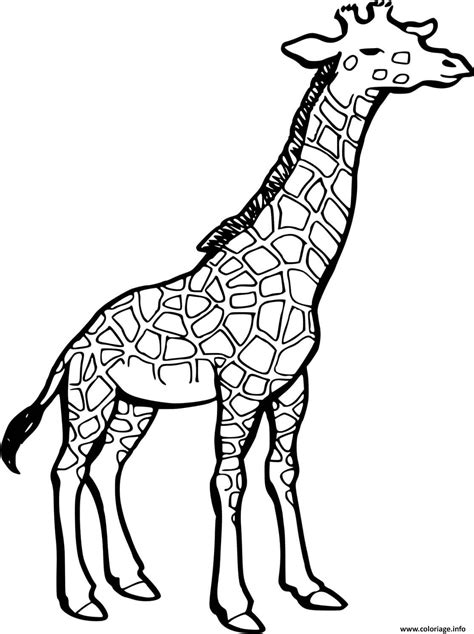 Coloriage Dessin D Une Girafe