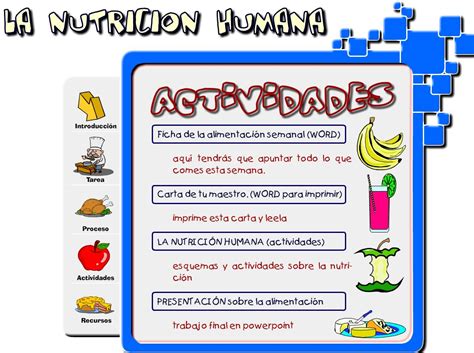 La Nutrición Humana Didactalia Material Educativo