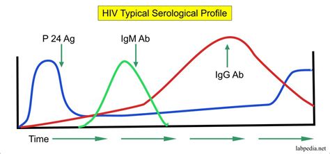 Human Immunodeficiency Virus Hiv Virus Aids Acquired