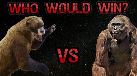 Gigantopithecus Vs Short Faced Bear Who Would Win Youtube