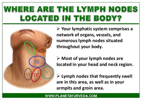 Swollen Lymph Nodes Neck Groin And Armpit