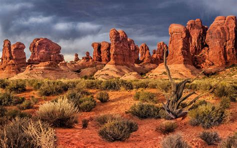 National Park Arches Moab Utah United States Garden From Eden Landscape