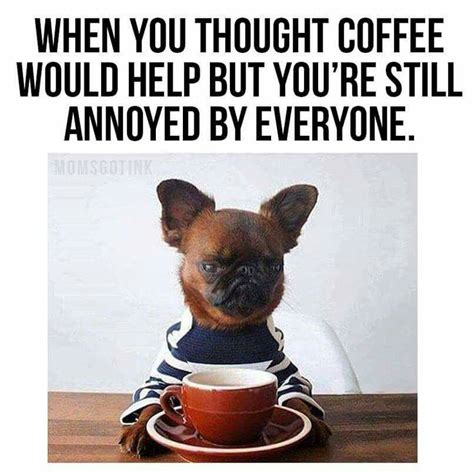 Coffee Meme Coffee Humor I Love Coffee