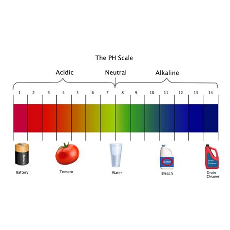 Ph Scale Poster Print By Spencer Suttonscience Source 36 X 24