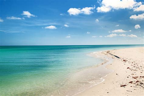 Imperdibles Playas Del Golfo De México Playas De Mexico