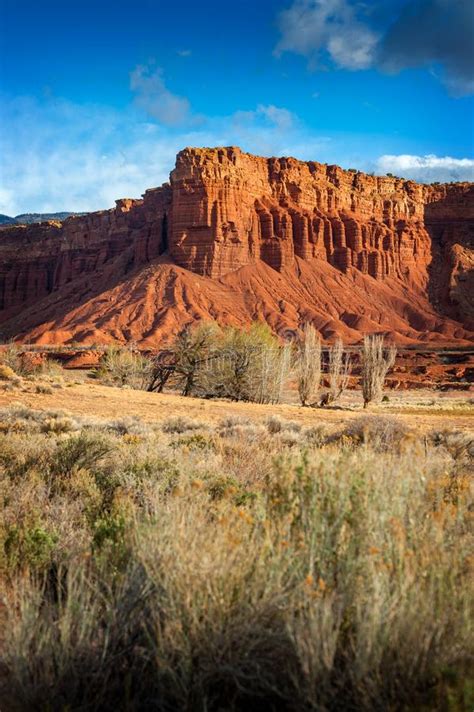 American Southwest Desert Landscape Stock Image Image Of American