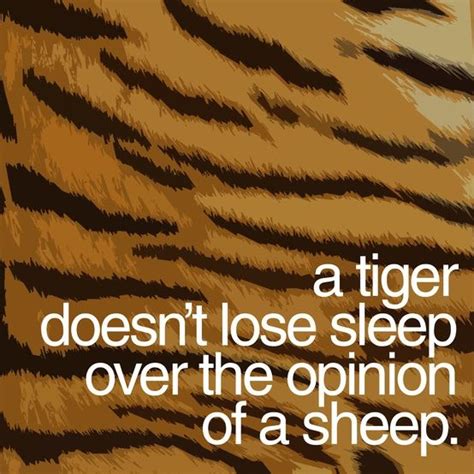 A Tiger Doesnt Lose Sleep Over The Opinion Of Sheep Love Life