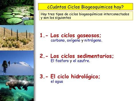 Ciclos BiogequÍmicos