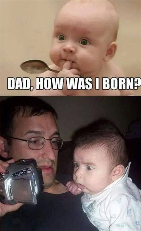 Funny Baby Jokes Baby Memes Funny Animal Jokes Crazy Funny Memes