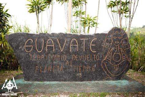 Guavate Puerto Rico Best Roast Pork In The World Puerto Rico