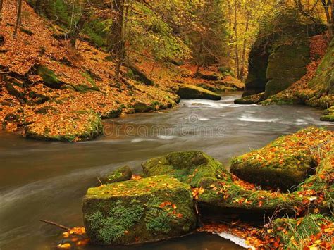 Autumn Mountain River With Blurred Waves Fresh Green Mossy Stones