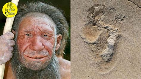 A 5 7 Million Year Old Footprint Has Been Found And It Could Controversially Rewrite Human