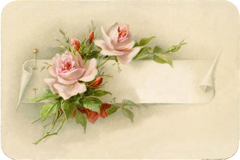 Exceptionally Beautiful Vintage Roses With Pin Image