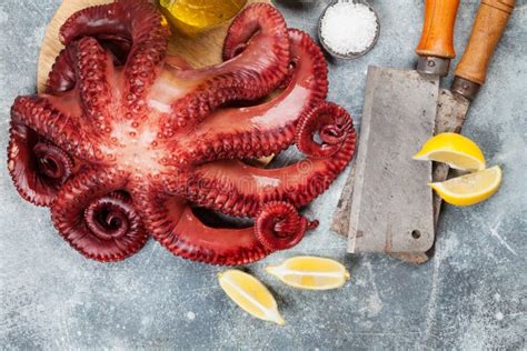 Raw Octopus Cooking Stock Photo Image Of Parsley Seafood 112054120
