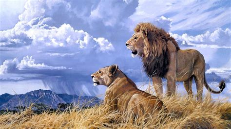 Lion couple on mountain top с изображениями Лев живопись Дикие