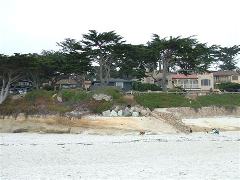 A Beach With Houses And Trees In The Background