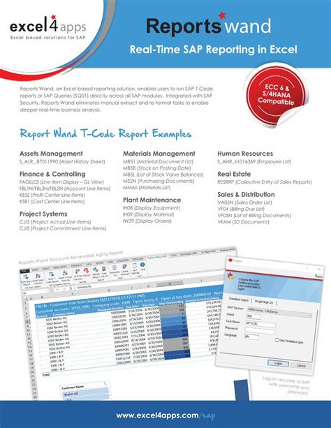 Pdf Report Wand T Sap