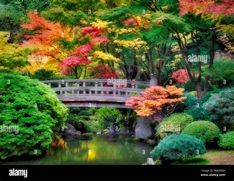 Portland Japanese Gardens With Bridge And Fall Colors Oregon Stock