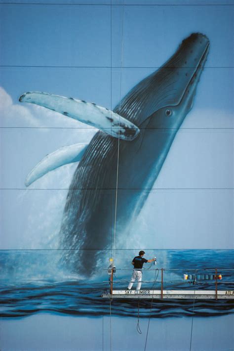 how wyland became one of the world s biggest marine wildlife artists
