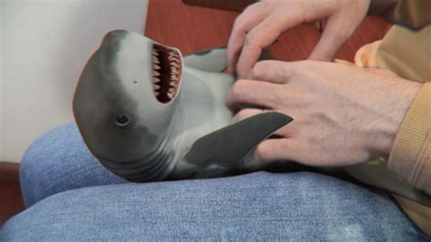 Surprised Baby Shark Doovi