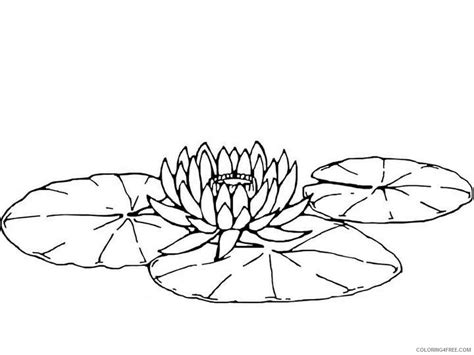 Water Lily Coloring Pages Flowers Nature Water Lily Flower 6 Printable