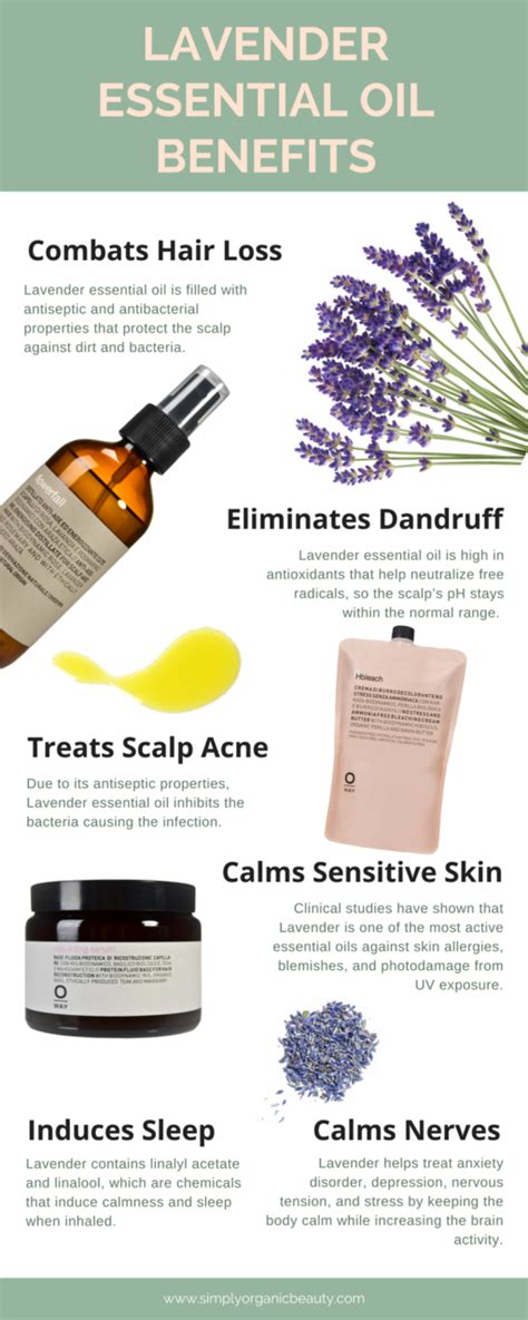 Lavender Essential Oil Benefits The Aromatherapy Oil Your Hair And