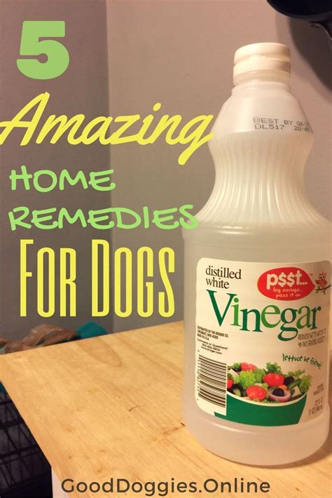 5 Amazing Homemade Remedies For Dogs Dog Shedding Remedies Dog Upset