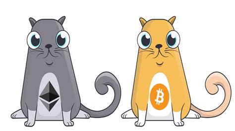 How These Stupid Cats Just Saved Crypto Youtube