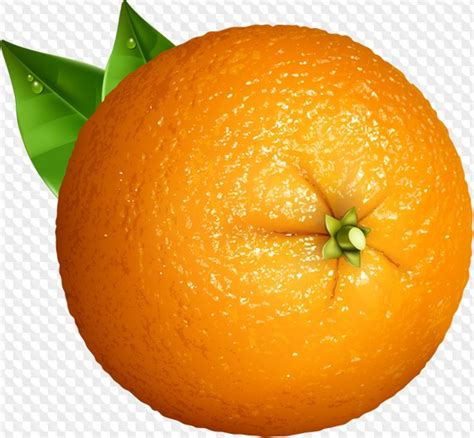 Naranjas Clipart PNG Con Fondo Transparente