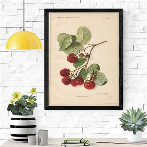Strawberry Print Vintage Botanical Illustration Poster Art Etsy
