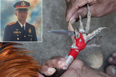 Police Officer Killed By Rooster While Breaking Up A Cockfight In The Philippines