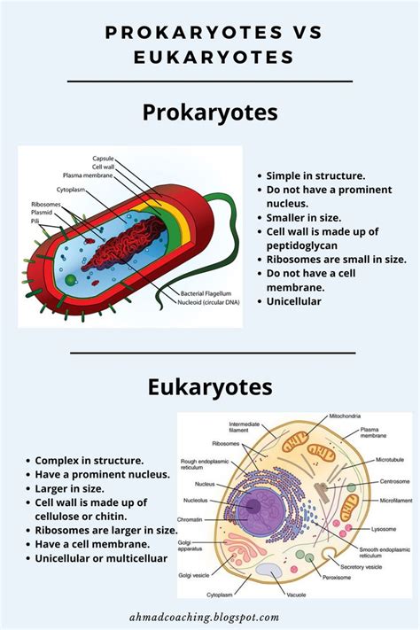 Prokaryotes Vs Eukaryotes Study Biology Cell Biology Notes Teaching