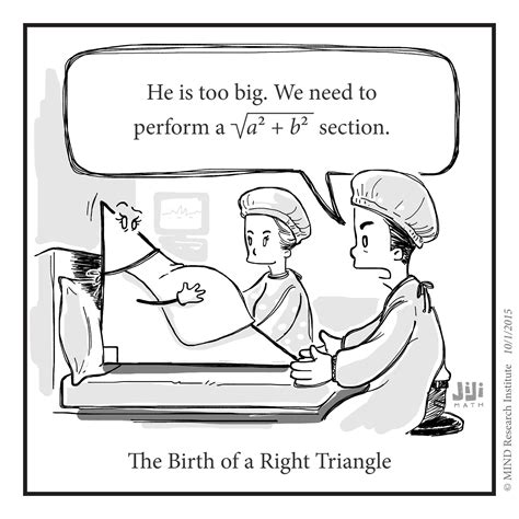 Off The Number Line Birth Of A Right Triangle Math Cartoons Math Humor Math Puns