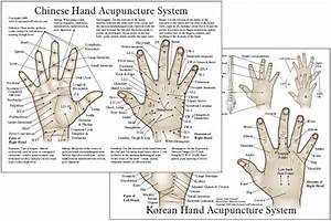 Chinese Foot Acupressure Chart Online Shopping