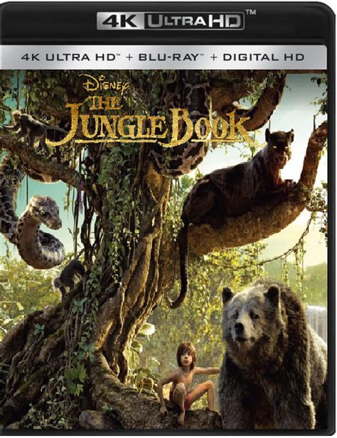 Jungle Book 2016 On 4k Ultra Hd By Ultimatecartoonfan99 On Deviantart