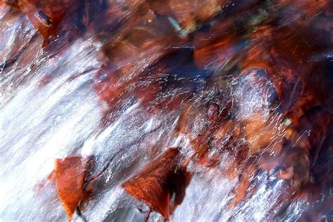 Free Images Water Nature Rock Creek Stream Red Nebula Leaves