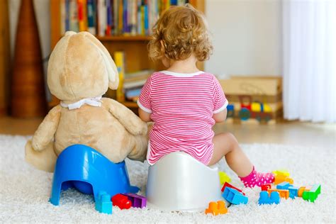 Potty Training How To Transition With 4 Helpful Tips